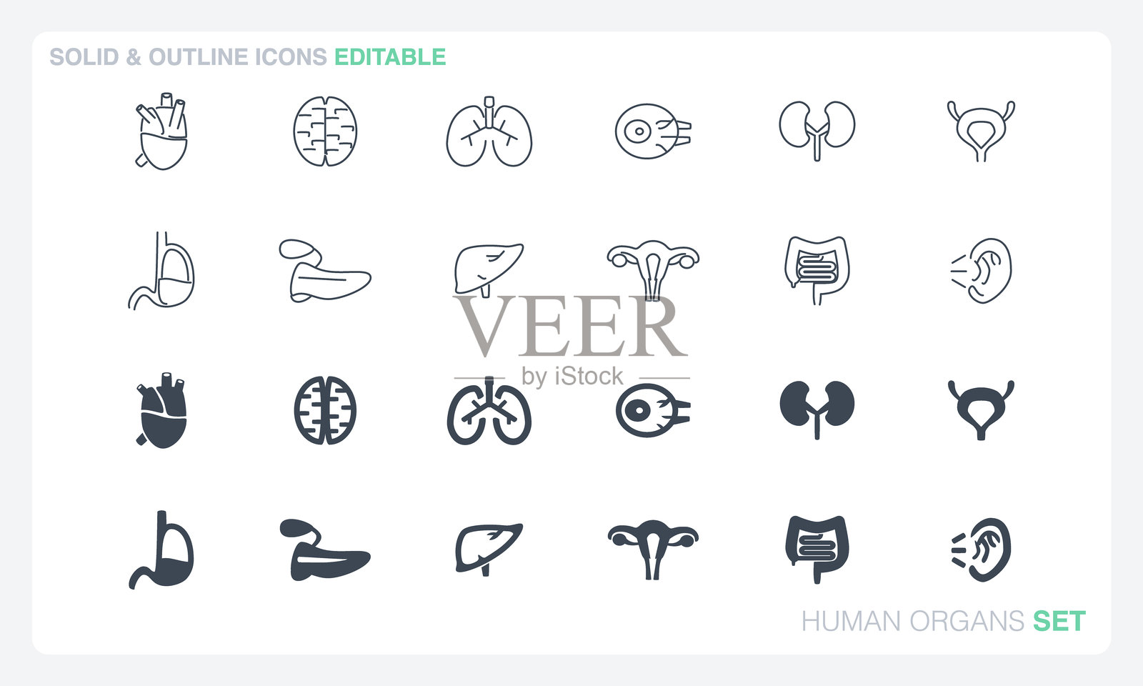 人体器官插画图片素材