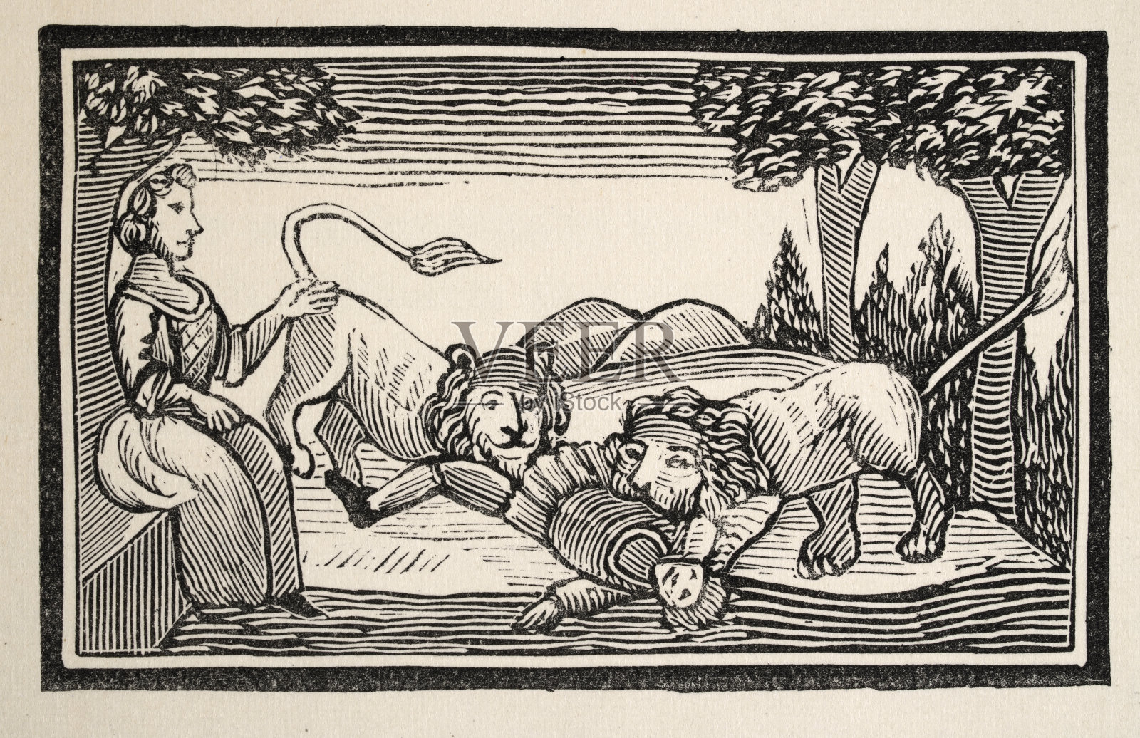 英语民间故事，男子被两只狮子袭击，18世纪小册子的木刻插图，圣乔治的生与死插画图片素材