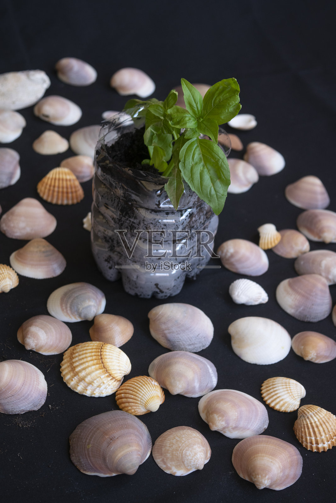 自然与再利用的和谐照片摄影图片