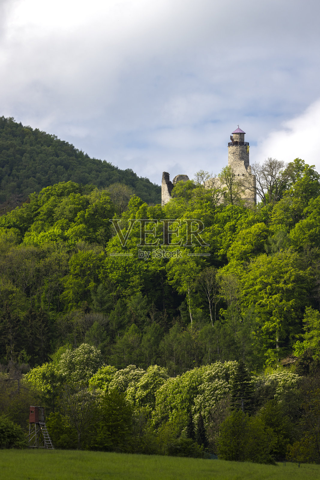捷克的米列索夫山城堡遗址从郁郁葱葱的森林中显现出来照片摄影图片