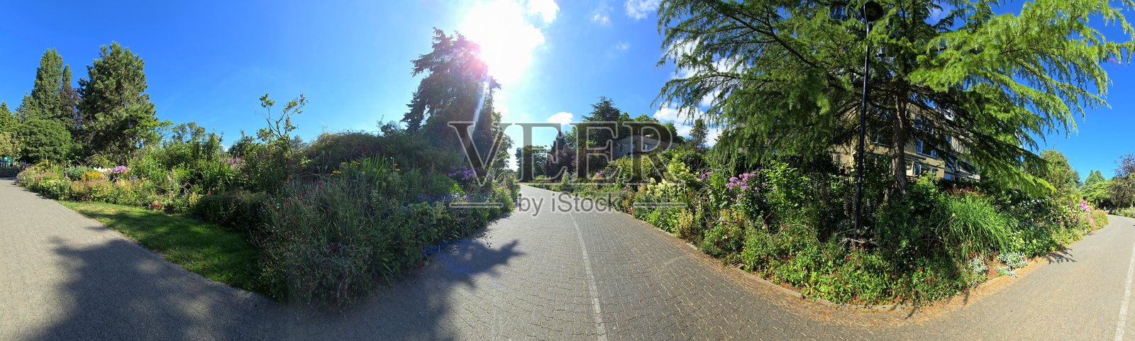 温哥华法尔斯溪海堤绿道附近的苏特克利夫公园宽阔花坛景观 – 2025年7月12日照片摄影图片