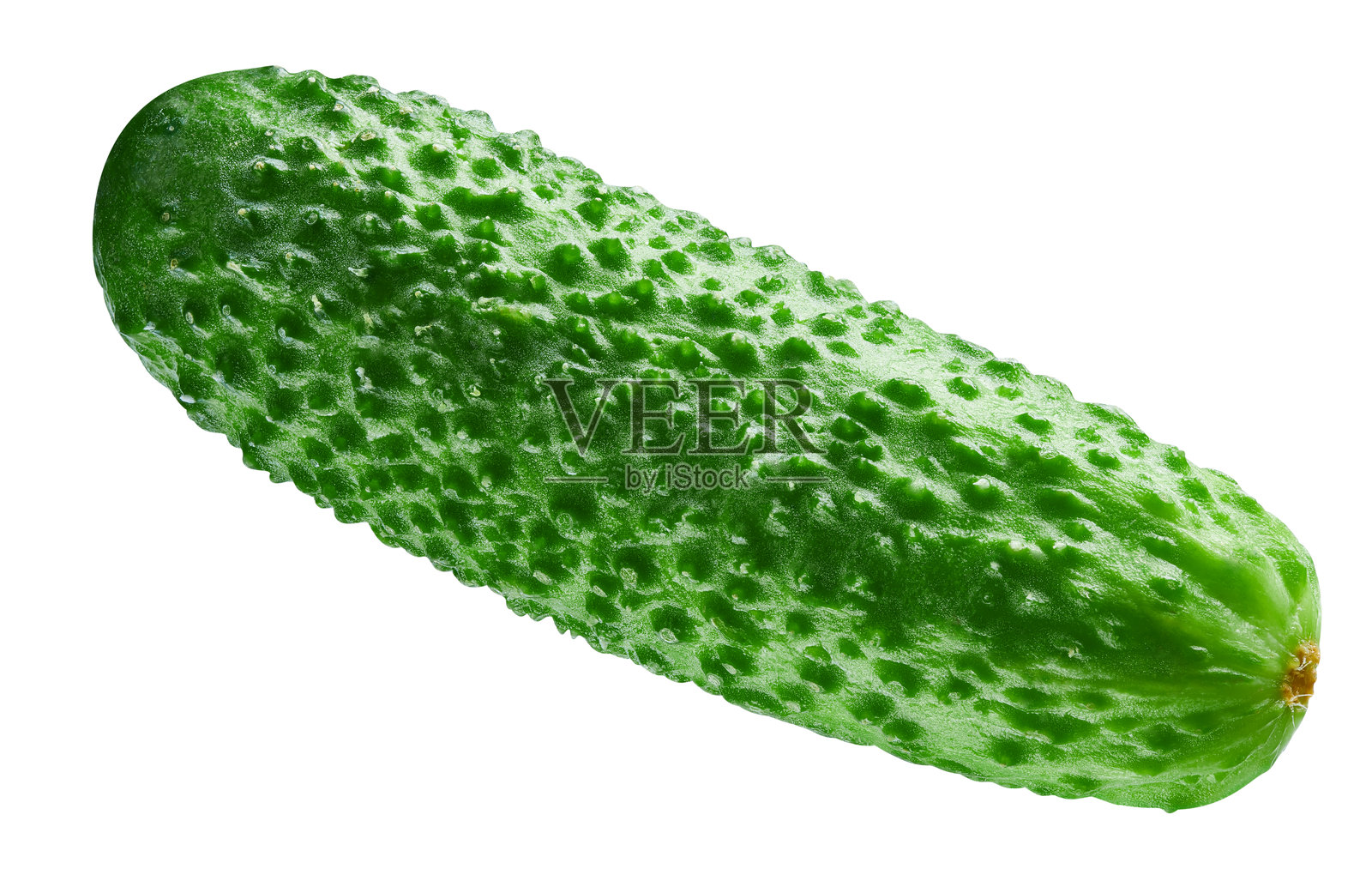 白色背景上的黄瓜照片摄影图片