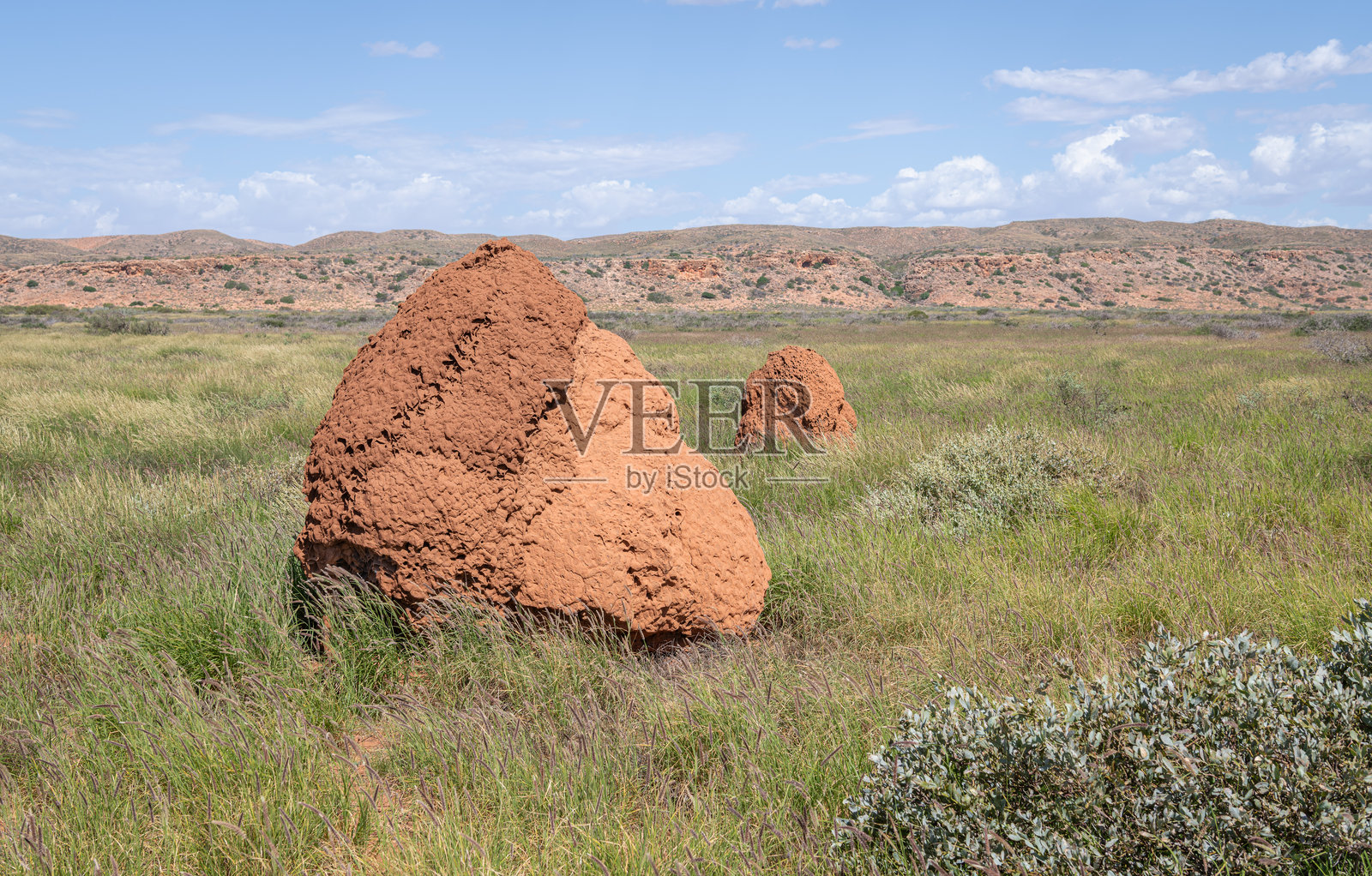 西澳大利亚州凯普岭国家公园的沙漠白蚁丘照片摄影图片