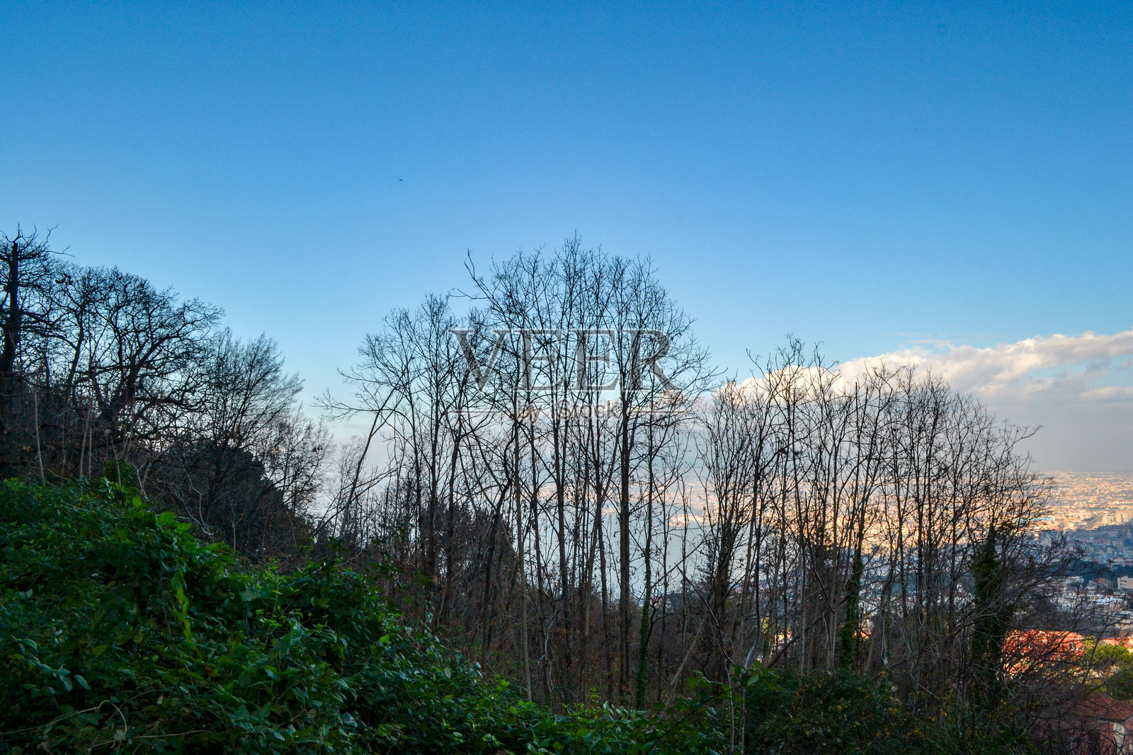 意大利坎帕尼亚大区那不勒斯的奎西萨纳宫照片摄影图片