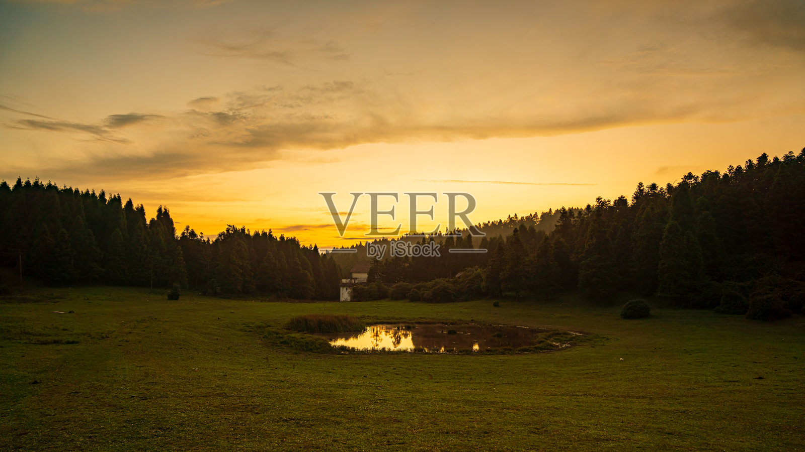 针叶林，空气清新的山脉，武隆，琼溪，中国，亚洲。照片摄影图片