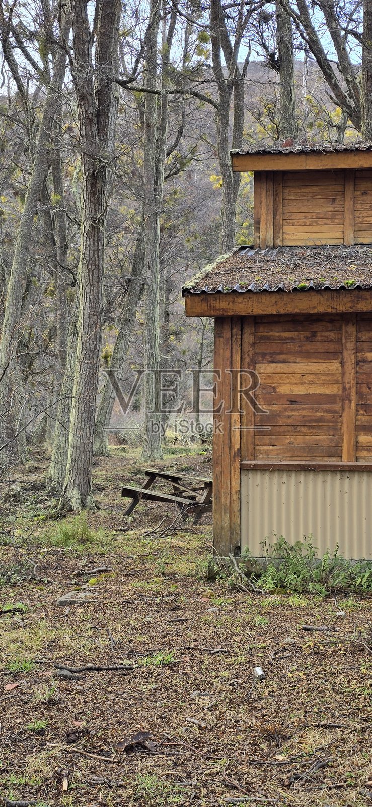 房屋风格照片摄影图片