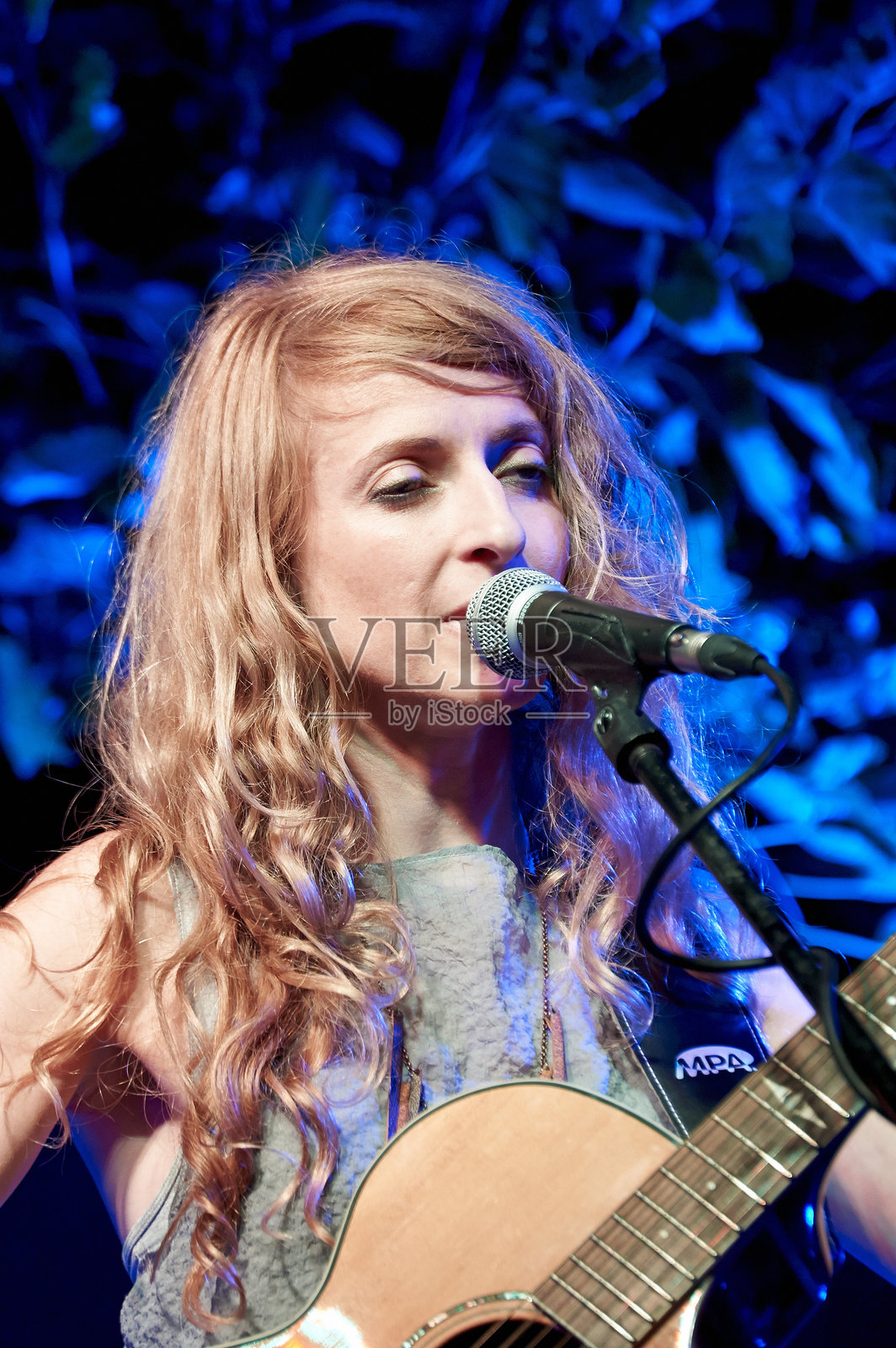 missincat照片摄影图片