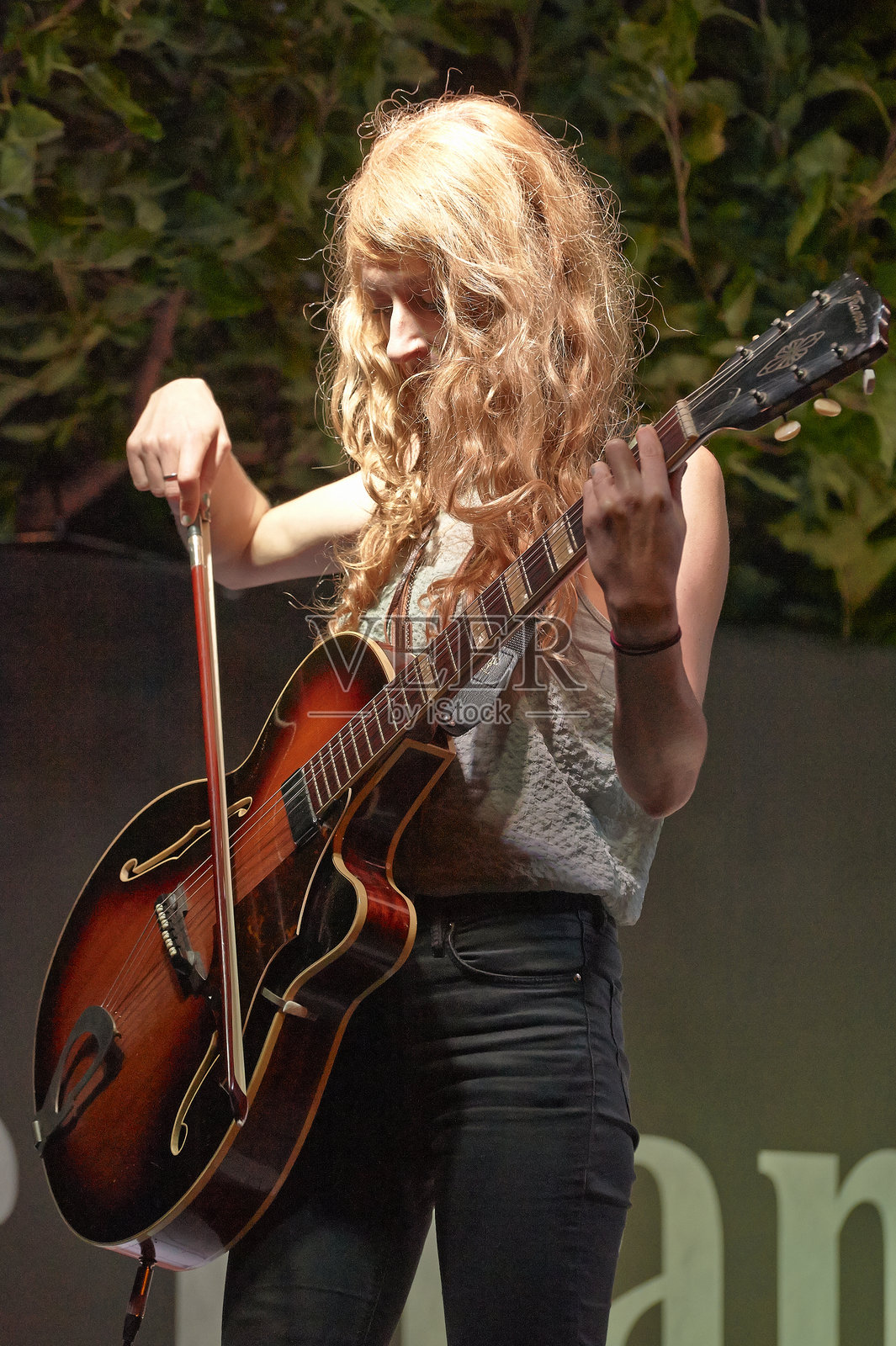 missincat照片摄影图片