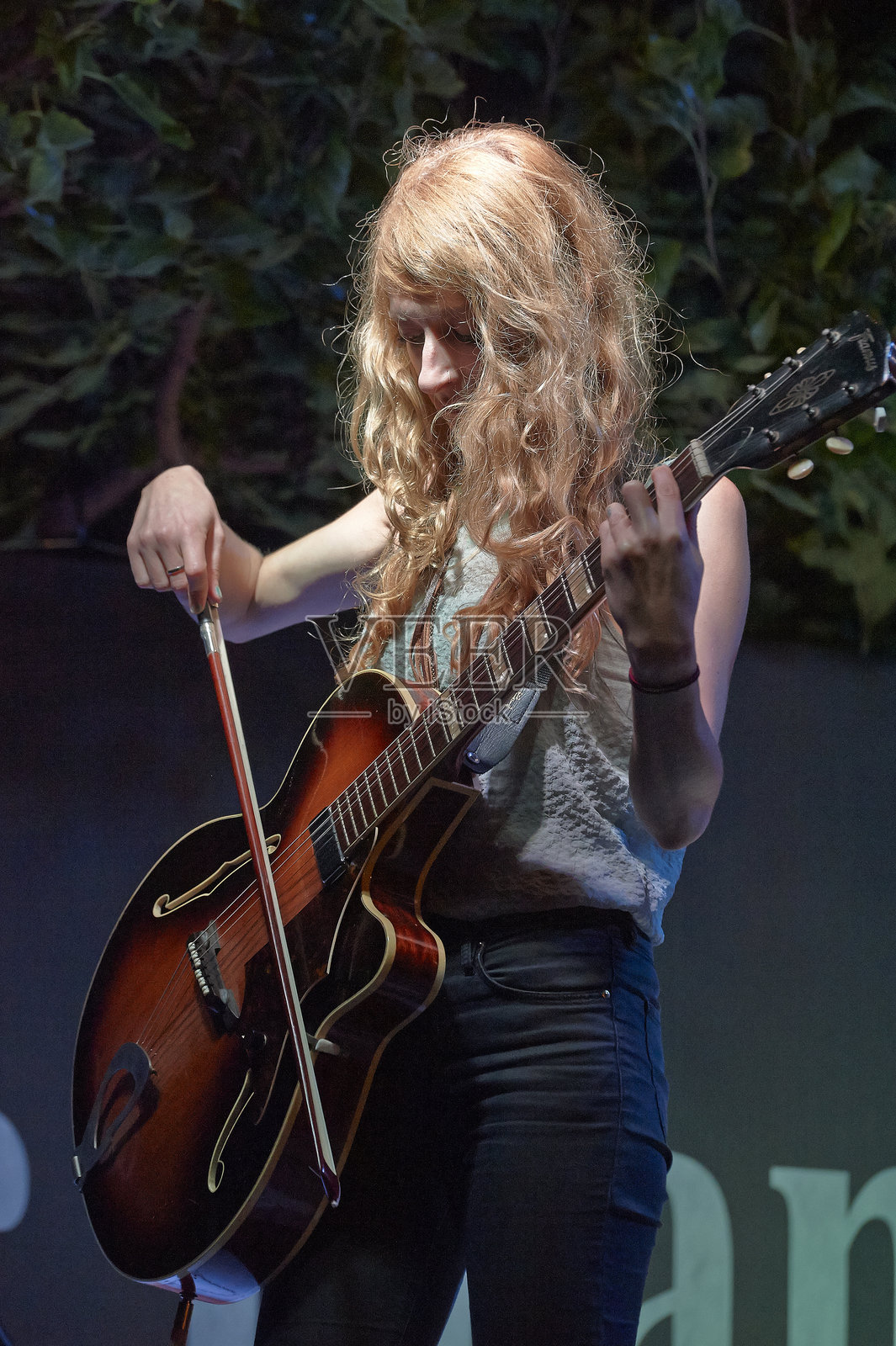 missincat照片摄影图片