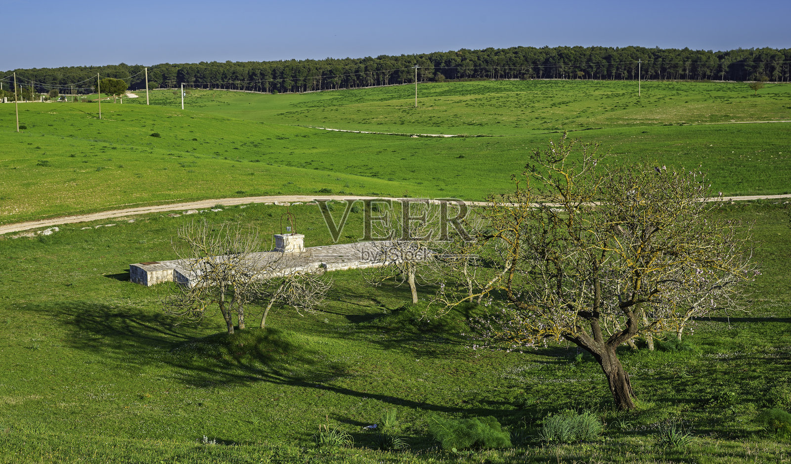 感受意大利南部普利亚地区穆尔吉亚山丘春天的生机与美丽。照片摄影图片