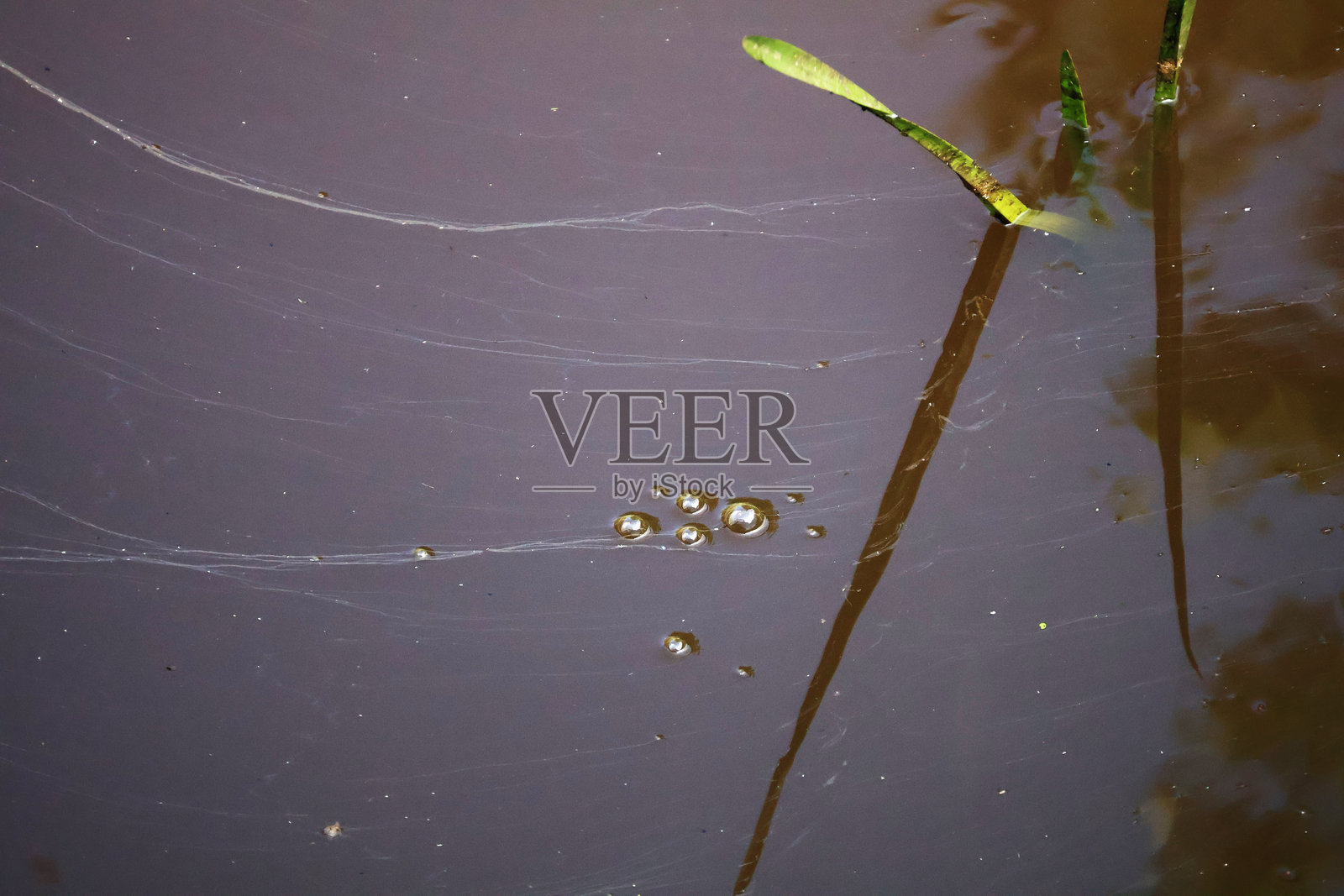 水面上的小气泡照片摄影图片