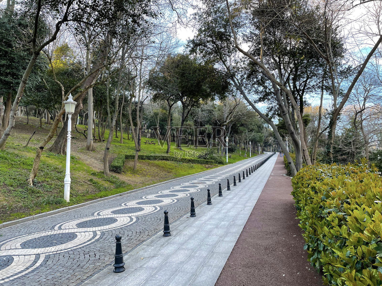 铺砌的小路两旁是灌木和树木，路灯点缀在城市园林中照片摄影图片