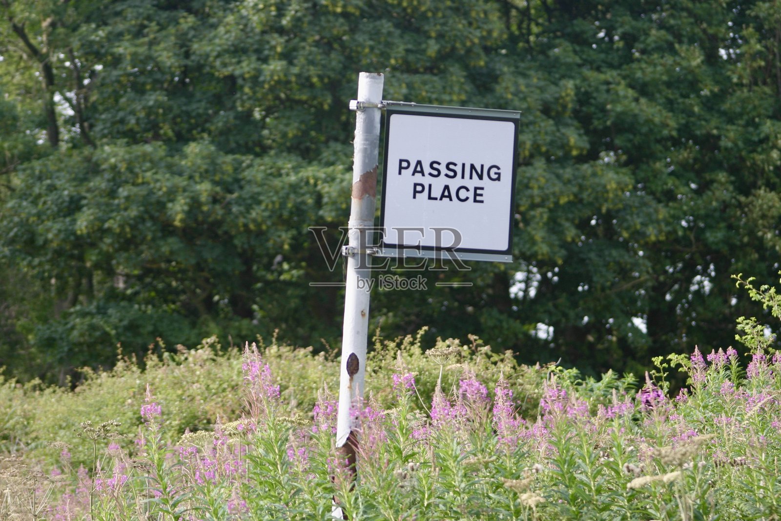 乡村道路标志，提供单车道道路的会车点信息照片摄影图片