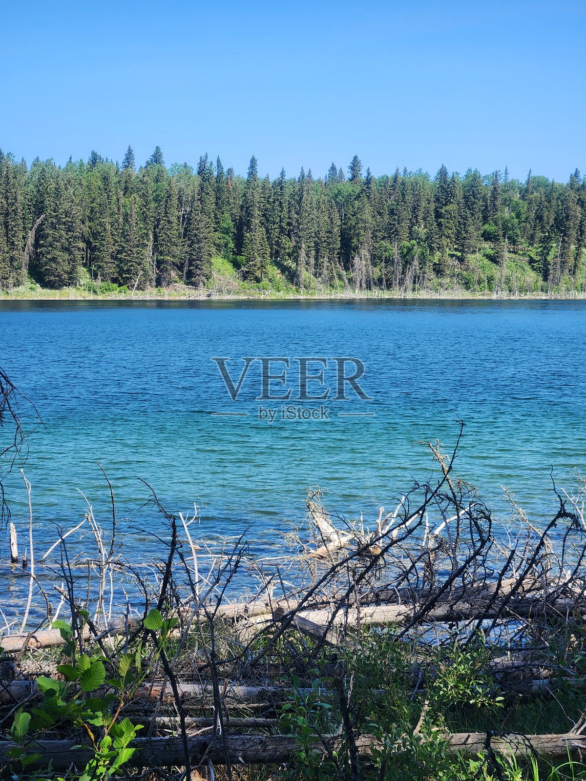 在曼尼托巴省的鸭山省立公园蓝湖徒步小径的景观。照片摄影图片