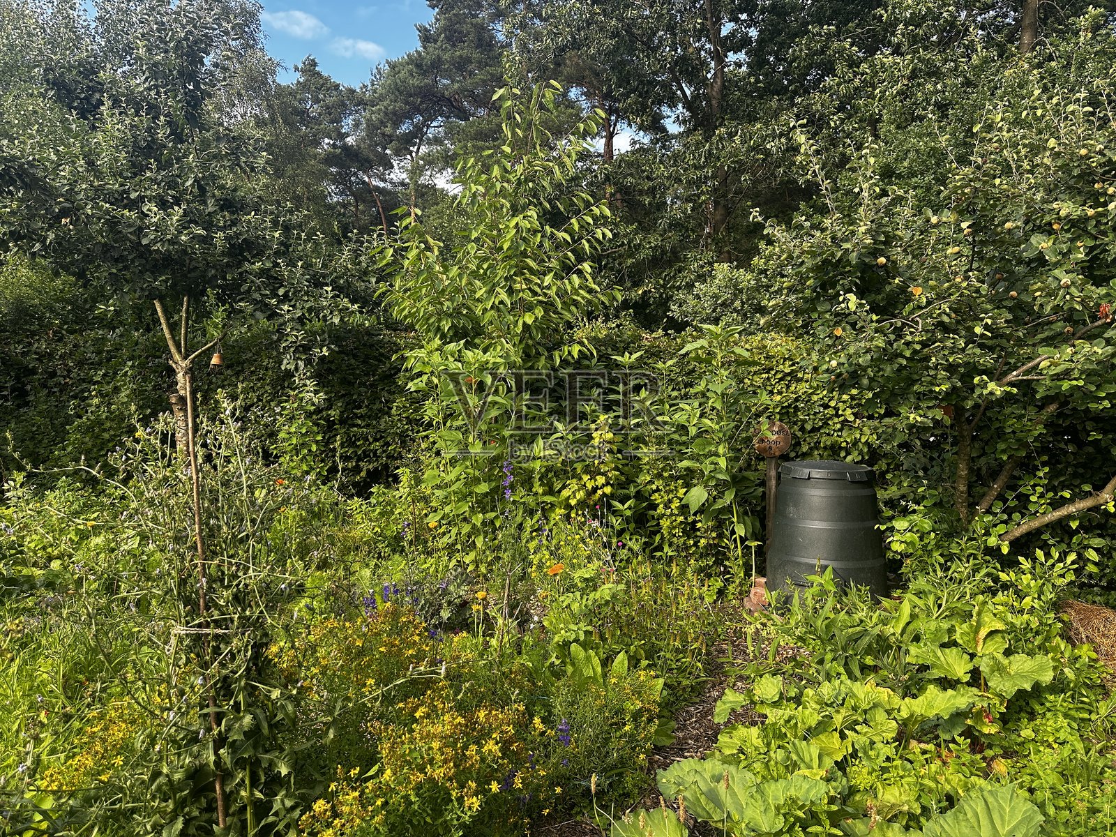 菜园中的堆肥箱照片摄影图片