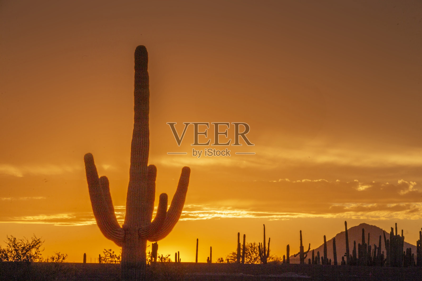 亚利桑那州的日落照片摄影图片