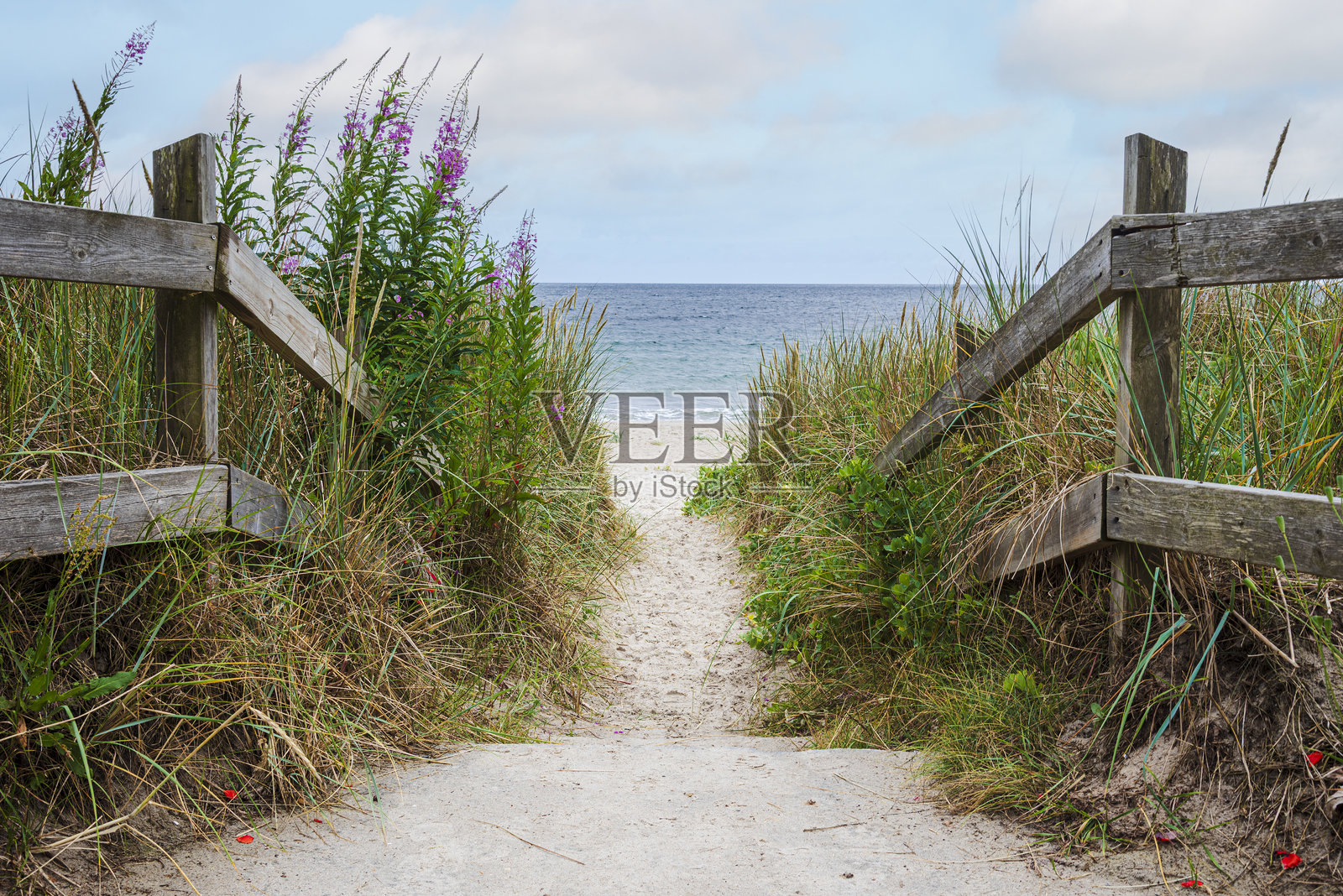 一座木栅栏将瑞典斯科纳省伊斯塔德的海滩与草地分开照片摄影图片