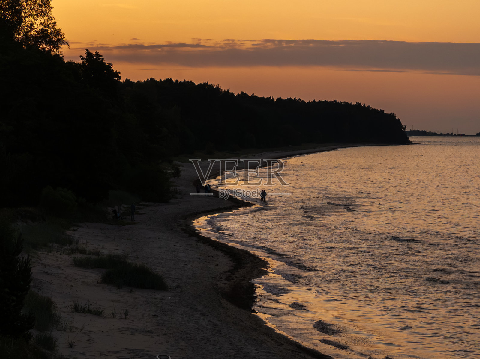 日落时分的海岸线，弯曲的沙滩和树木边界照片摄影图片