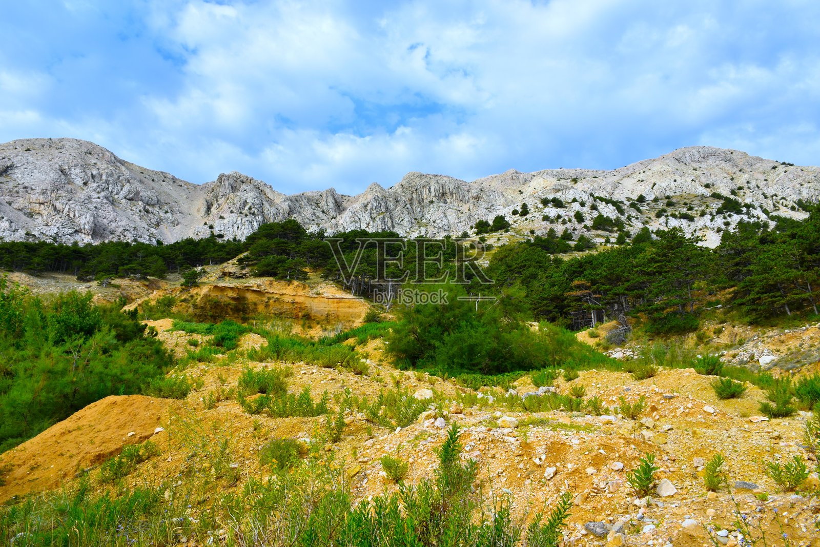 克瓦尔内尔的克尔克岛上，松林上方的山脉照片摄影图片