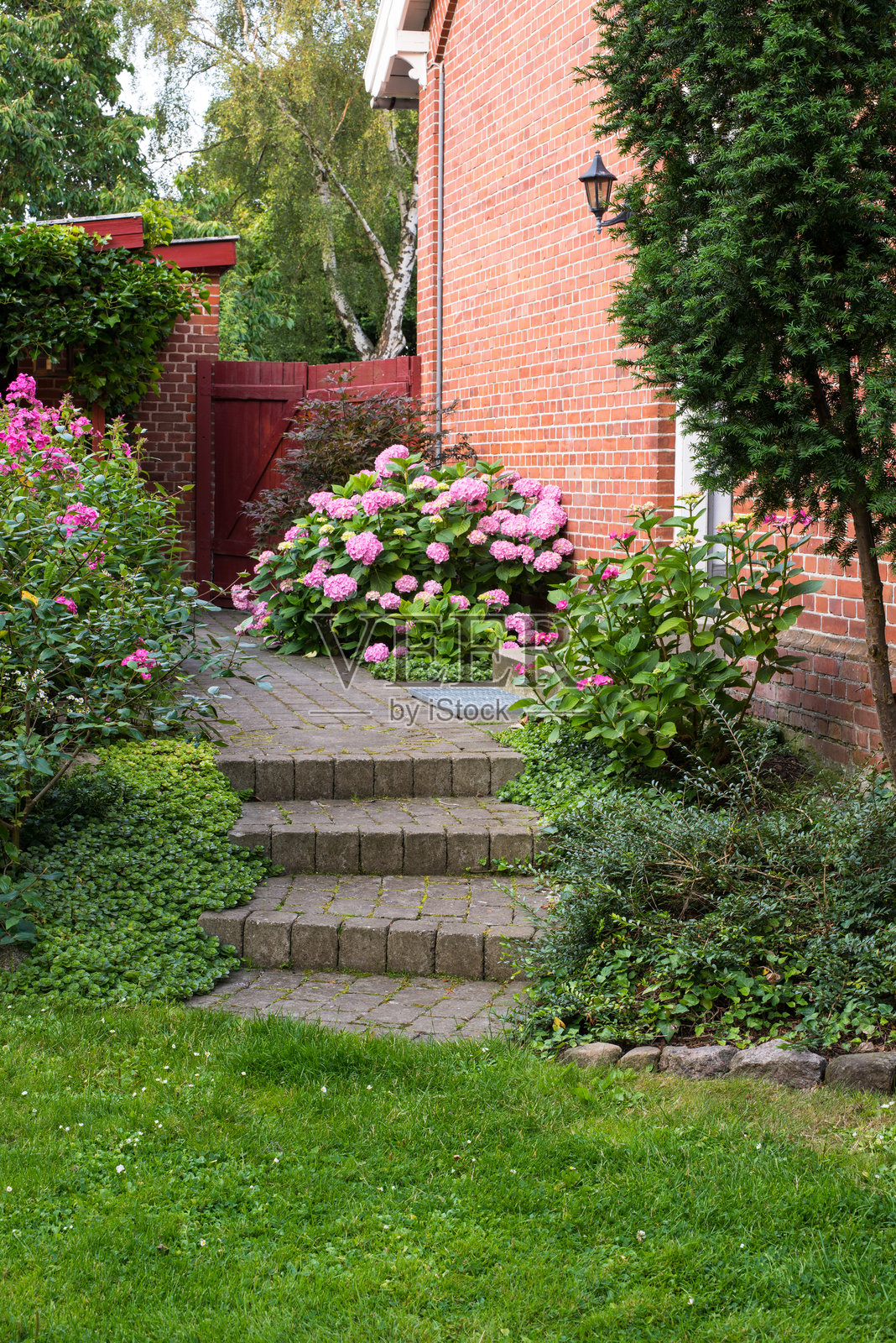 迷人的丹麦花园，绣球花、郁郁葱葱的绿植和砖砌建筑照片摄影图片