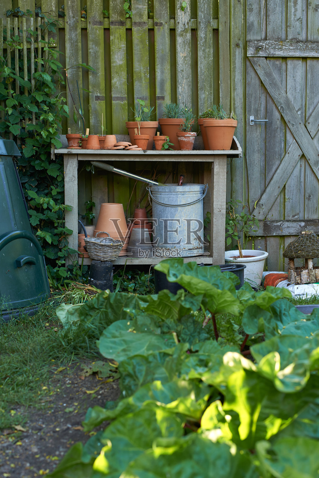 乡村风格的后院园艺场景，配有花盆、工具和郁郁葱葱的植物照片摄影图片