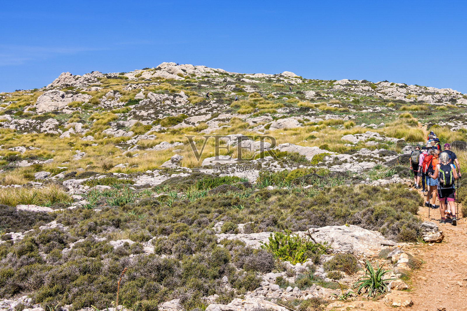 阳光明媚的夏日，徒步旅行者在灌木丛中的山间小径上行走照片摄影图片