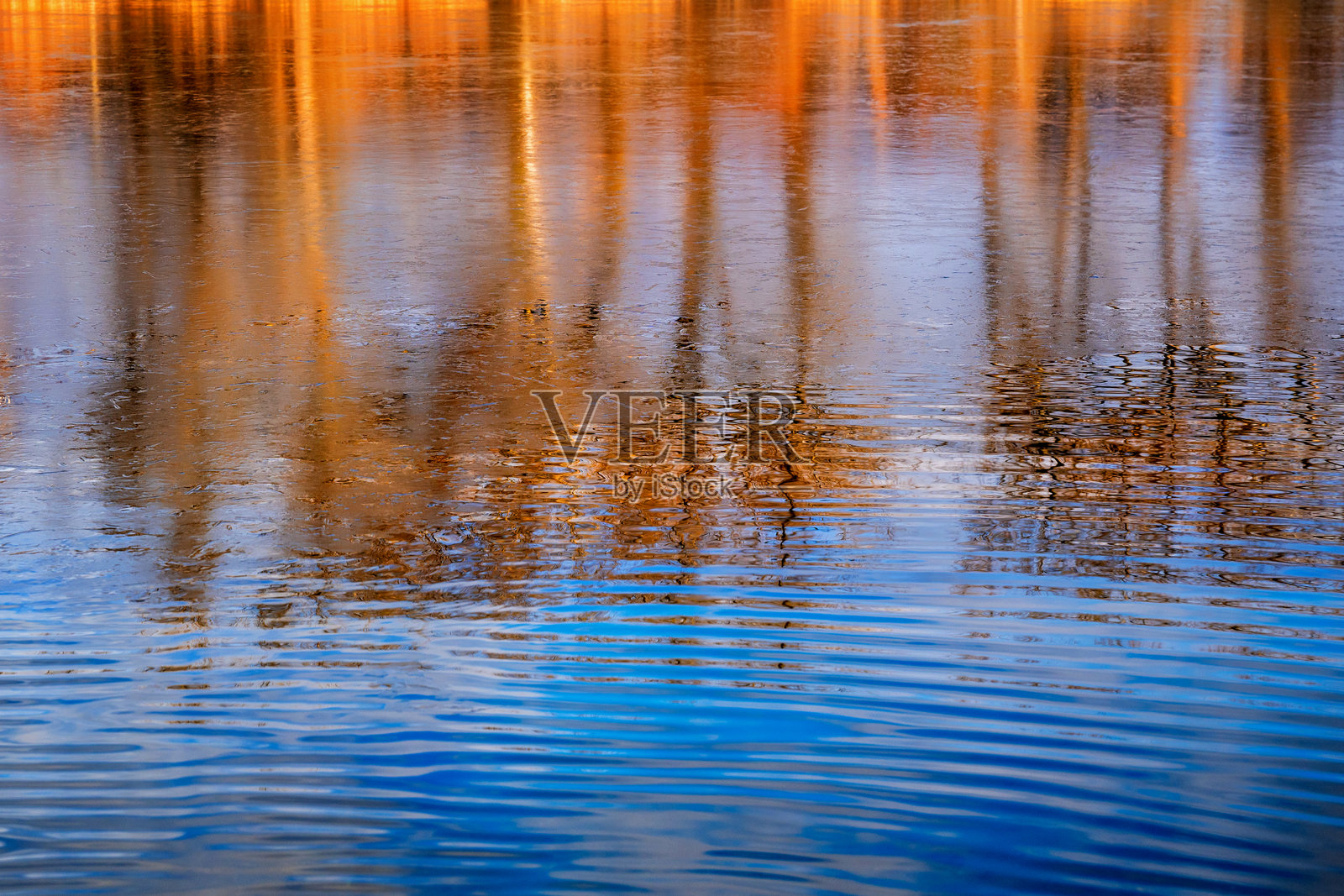 阳光照耀下水面上树木的倒影。照片摄影图片