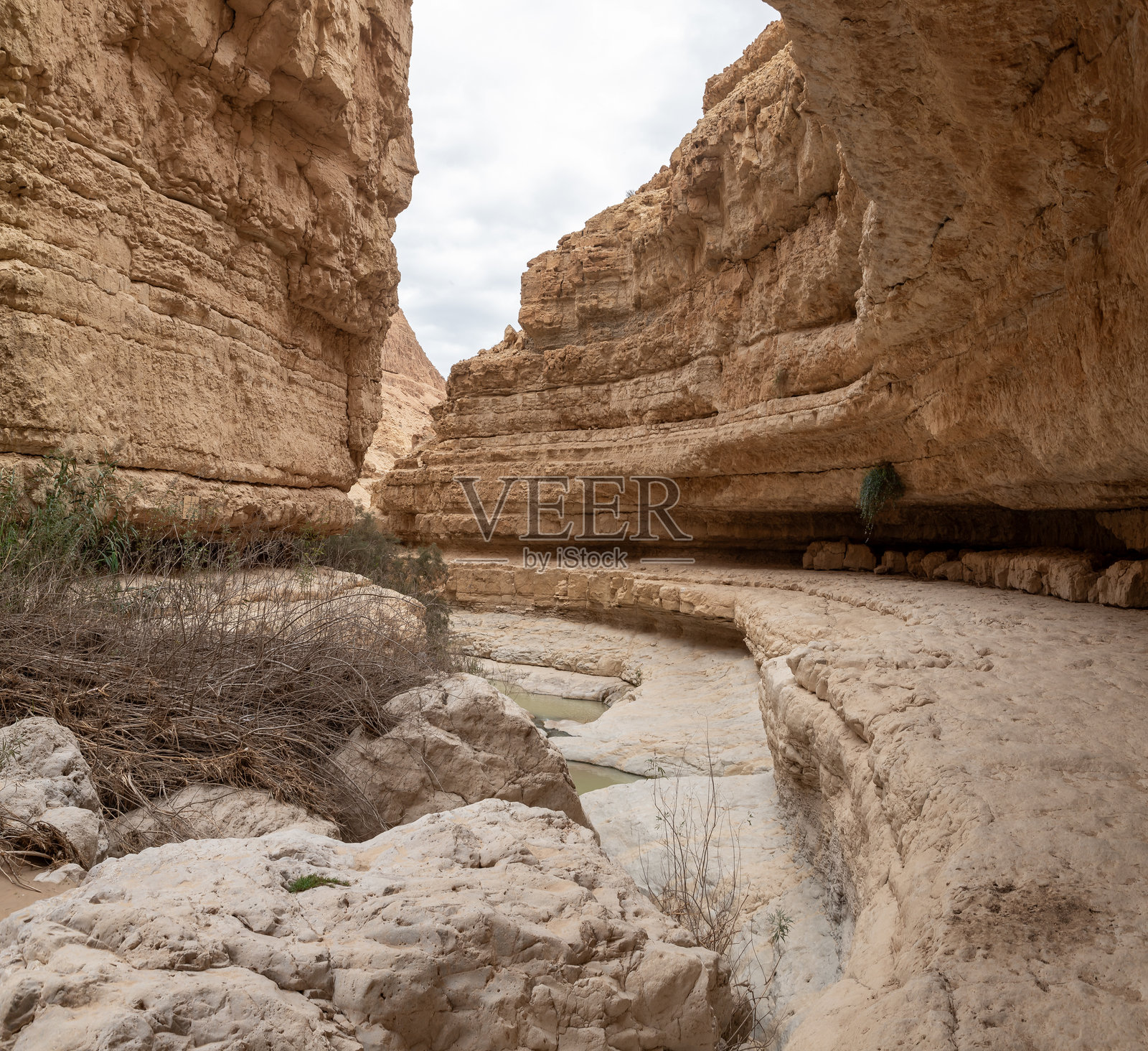 阿鲁戈特溪自然保护区附近的死海展现了大自然的非凡壮丽。照片摄影图片