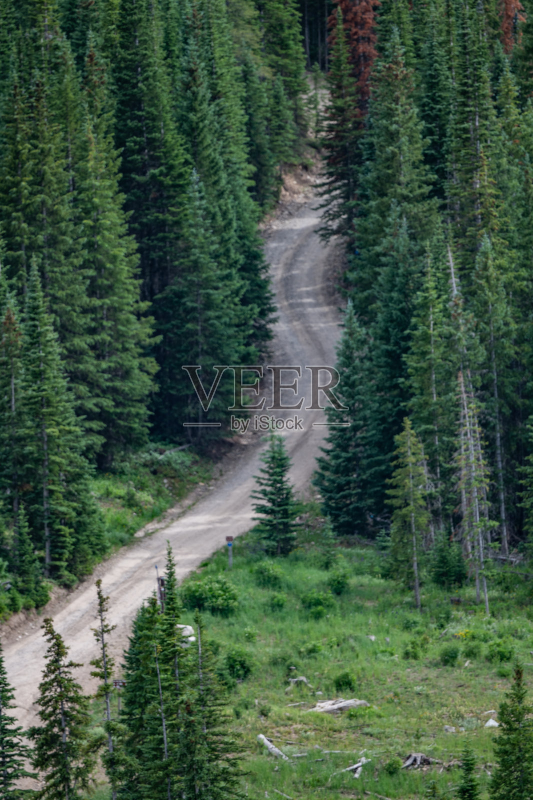 科罗拉多州北部卡梅伦山口的山地四轮驱动车道照片摄影图片