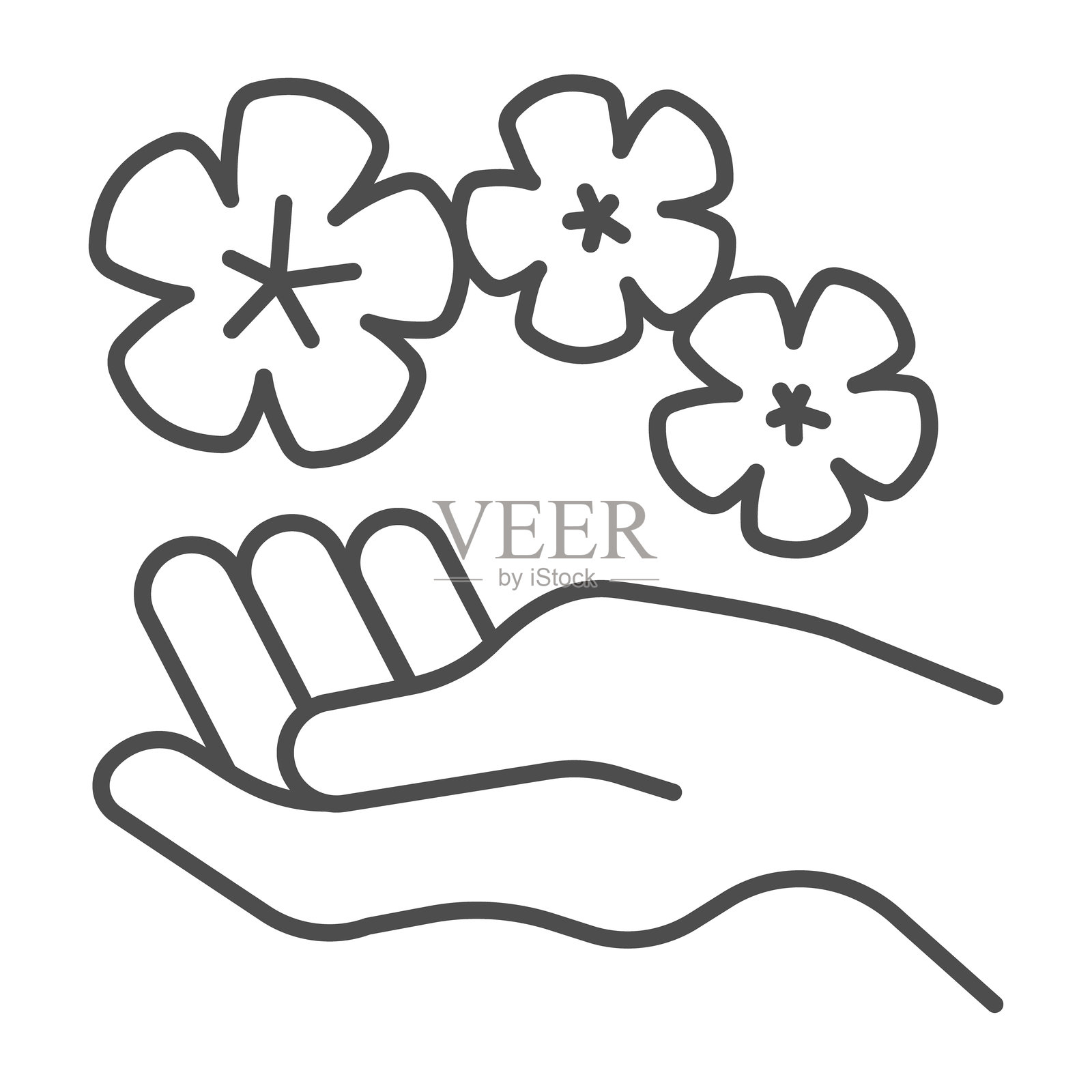 手握花朵的细线图标，水疗按摩概念。矢量图形。手部香薰油疗法，白色背景上的花卉标志，适用于移动或网页设计的轮廓风格图标。插画图片素材