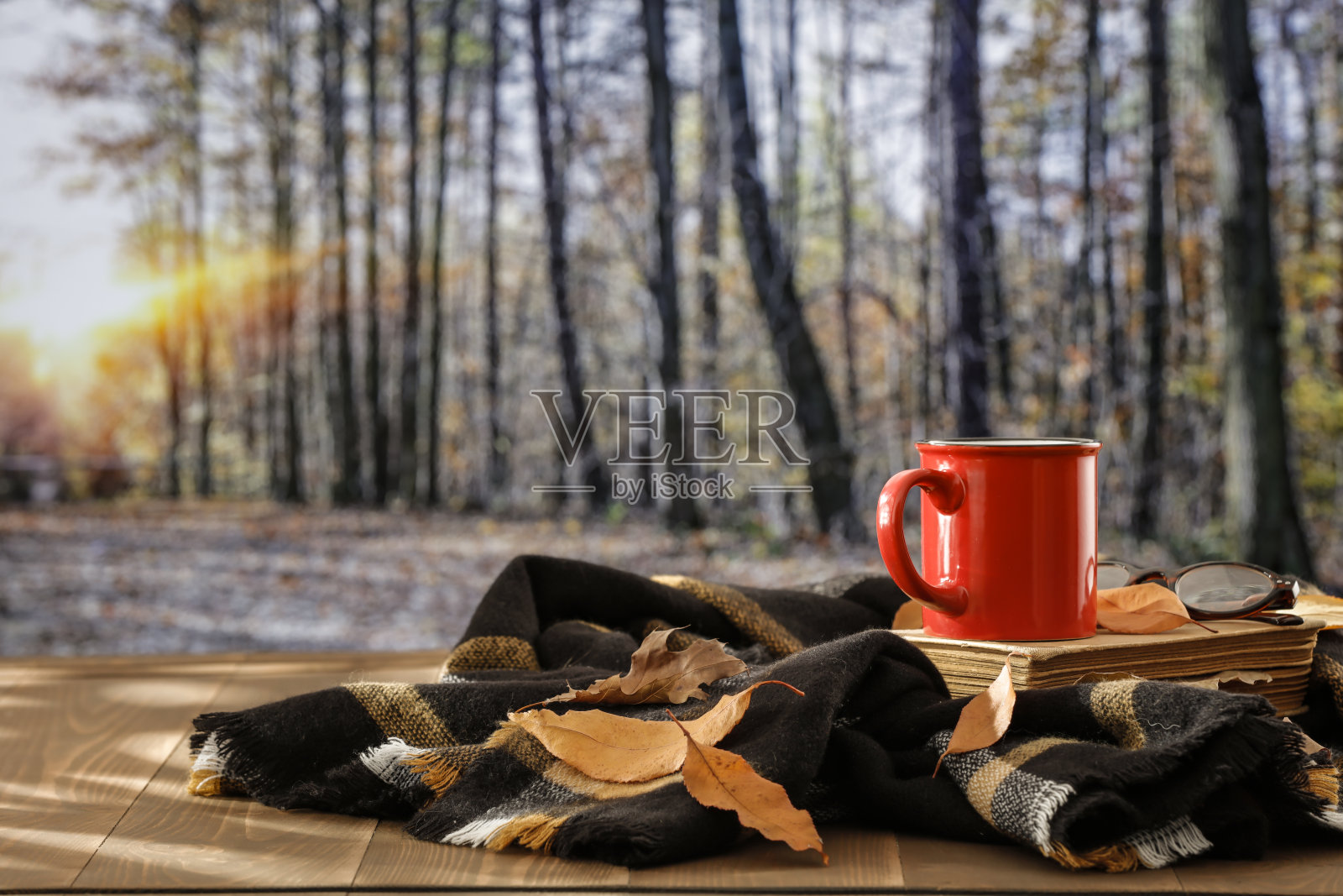 秋季静物，木桌上留有空白，位于森林中 - 秋季和自然创作概念照片摄影图片