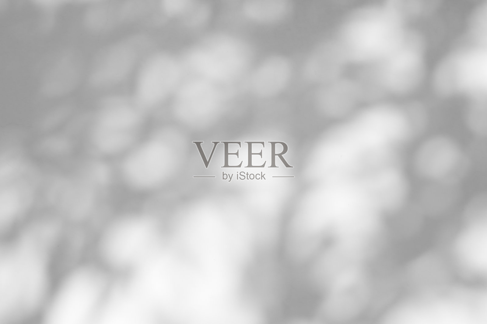 自然树枝叶子的抽象阴影投射在白色墙壁背景上照片摄影图片