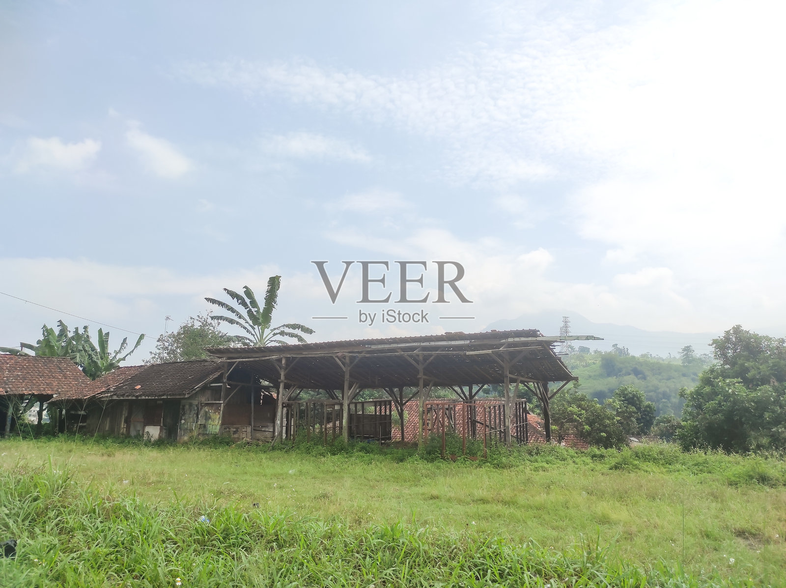 一片长满杂草的田野，旁边有一座废弃的小屋照片摄影图片