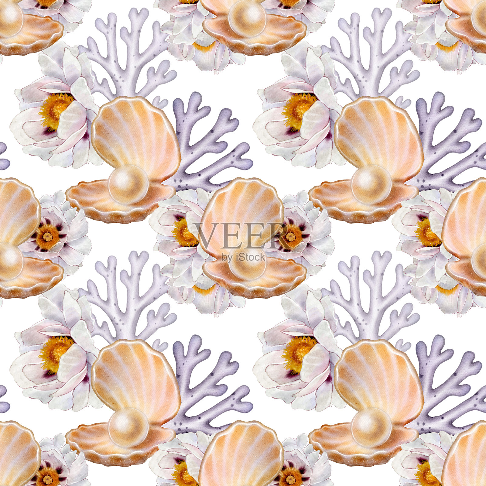 带有珊瑚和花卉图案的珍珠贝壳插画图片素材