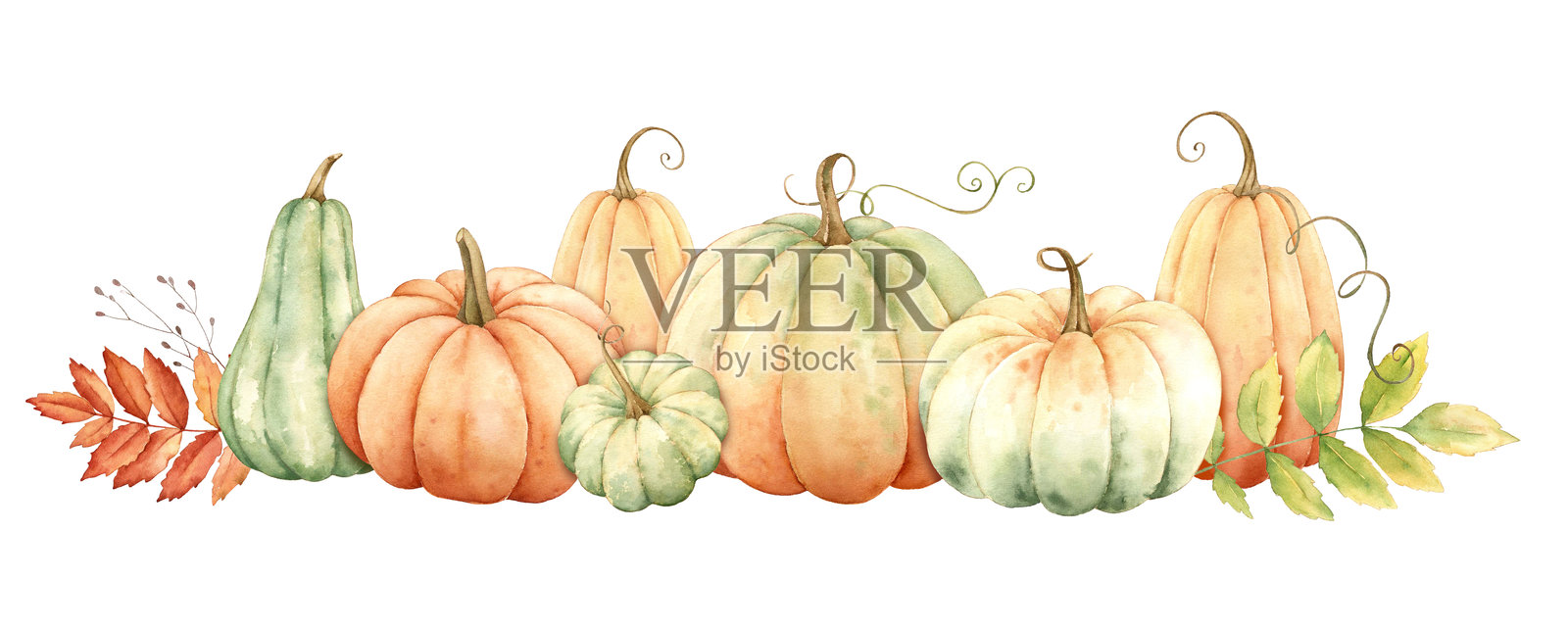 秋季边框，带有橙色和绿色南瓜。水彩插图，独立于白色背景。插画图片素材