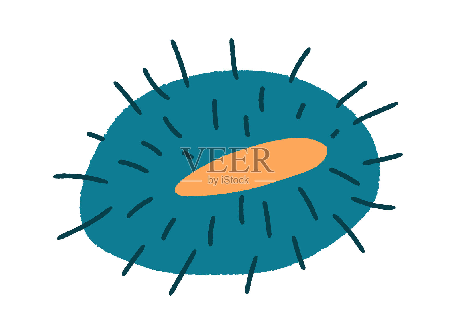 带有裂纹刺壳的栗子，传统的中秋节食品，孤立展示插画图片素材