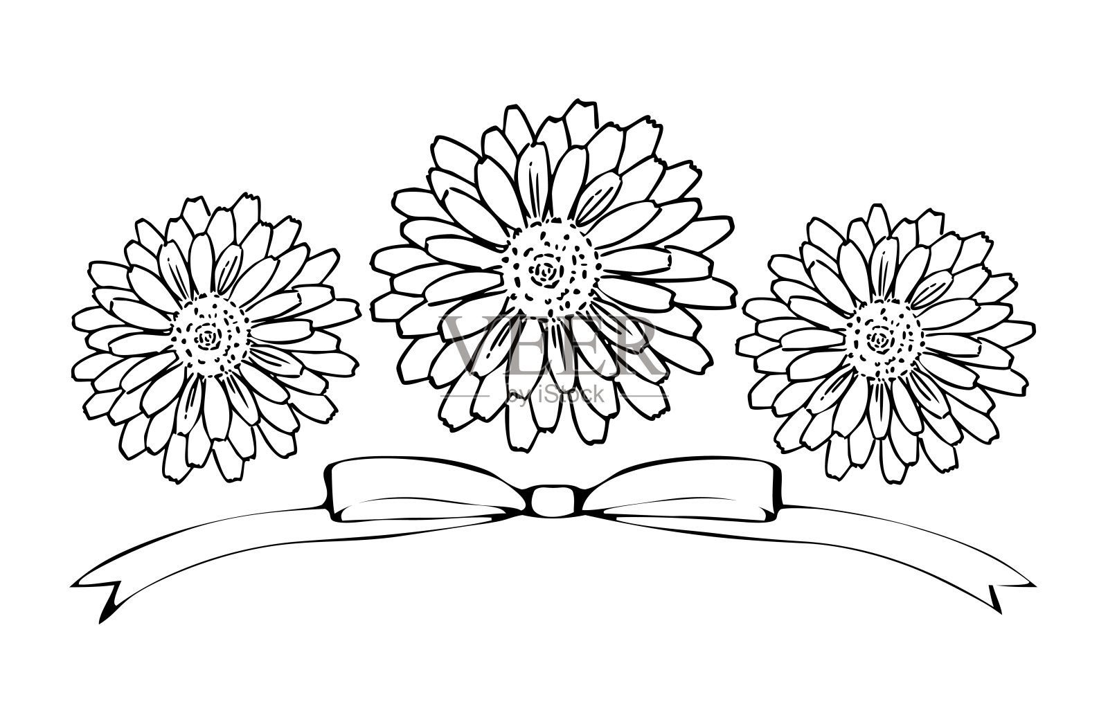 金盏花（万寿菊）和丝带的线条画插图插画图片素材