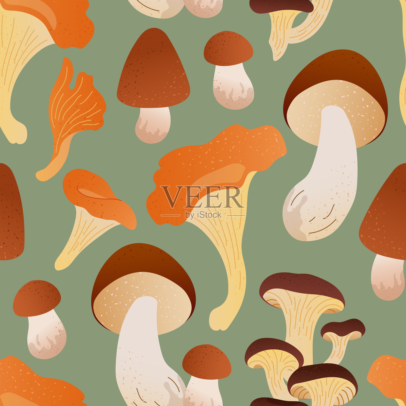 各种可食用蘑菇的方形重复图案，采用温暖的秋季色彩。无缝纹理的森林元素，独立于绿色背景，适用于包装纸、包装、秋季横幅或乡村风格印刷品。插画图片素材