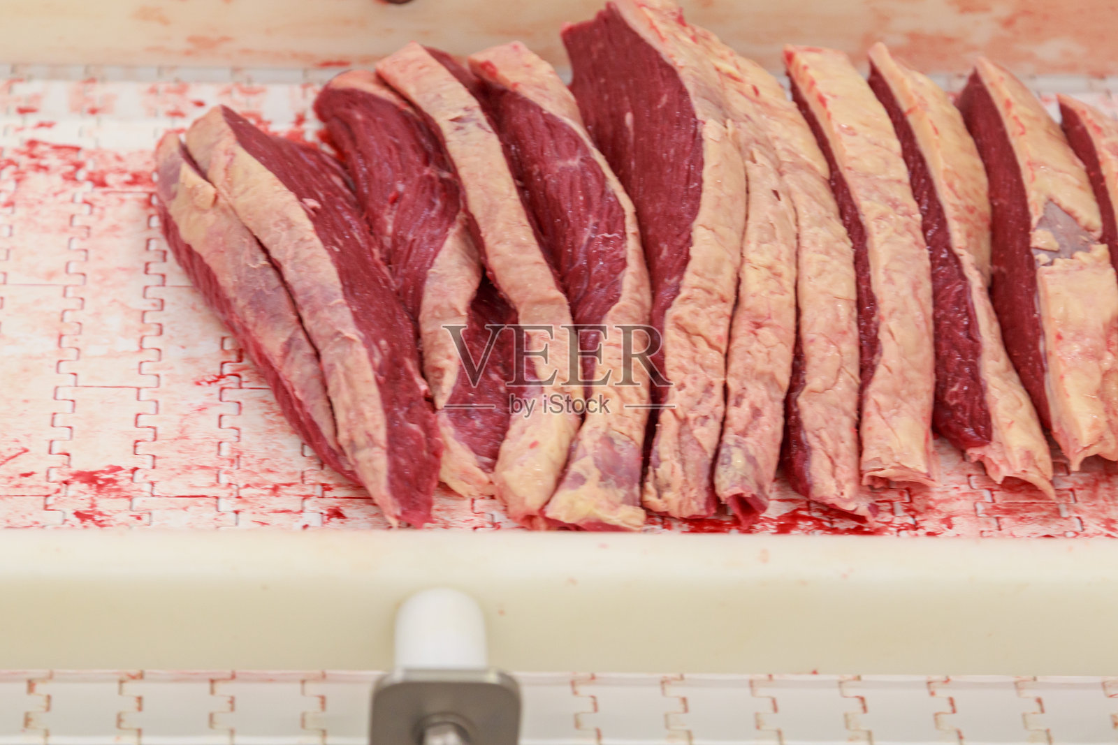 工厂车间内的牛肉安格斯部件输送链。照片摄影图片