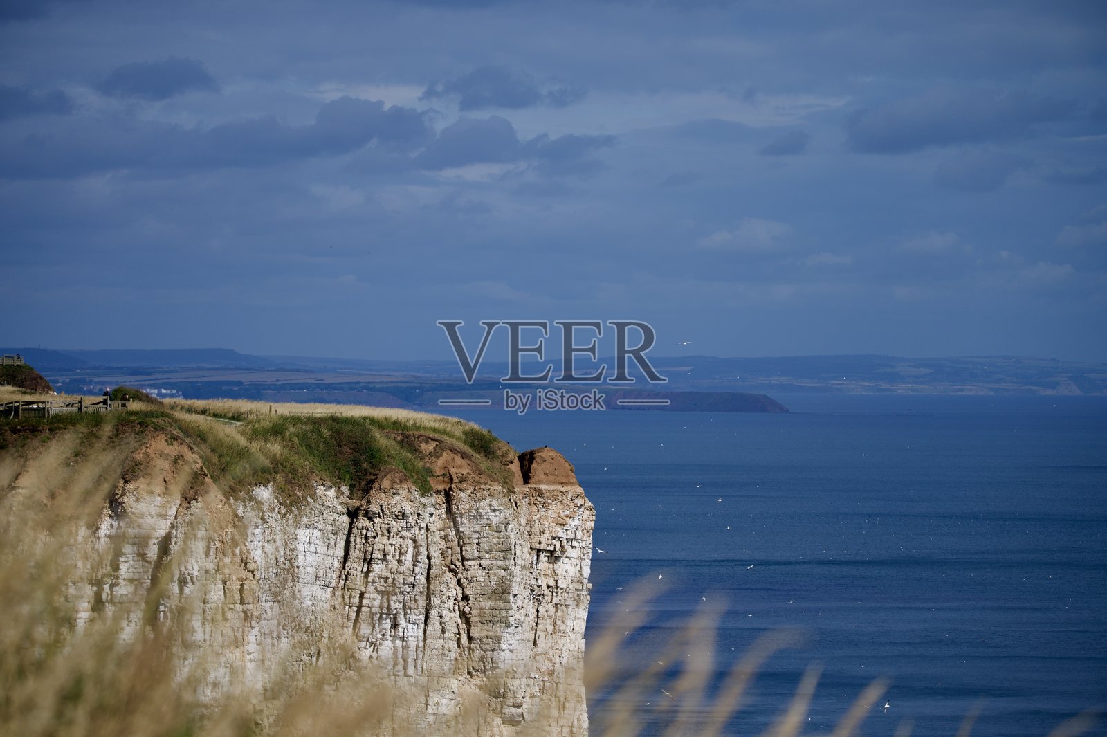 RSPB 贝姆普顿悬崖海景照片摄影图片