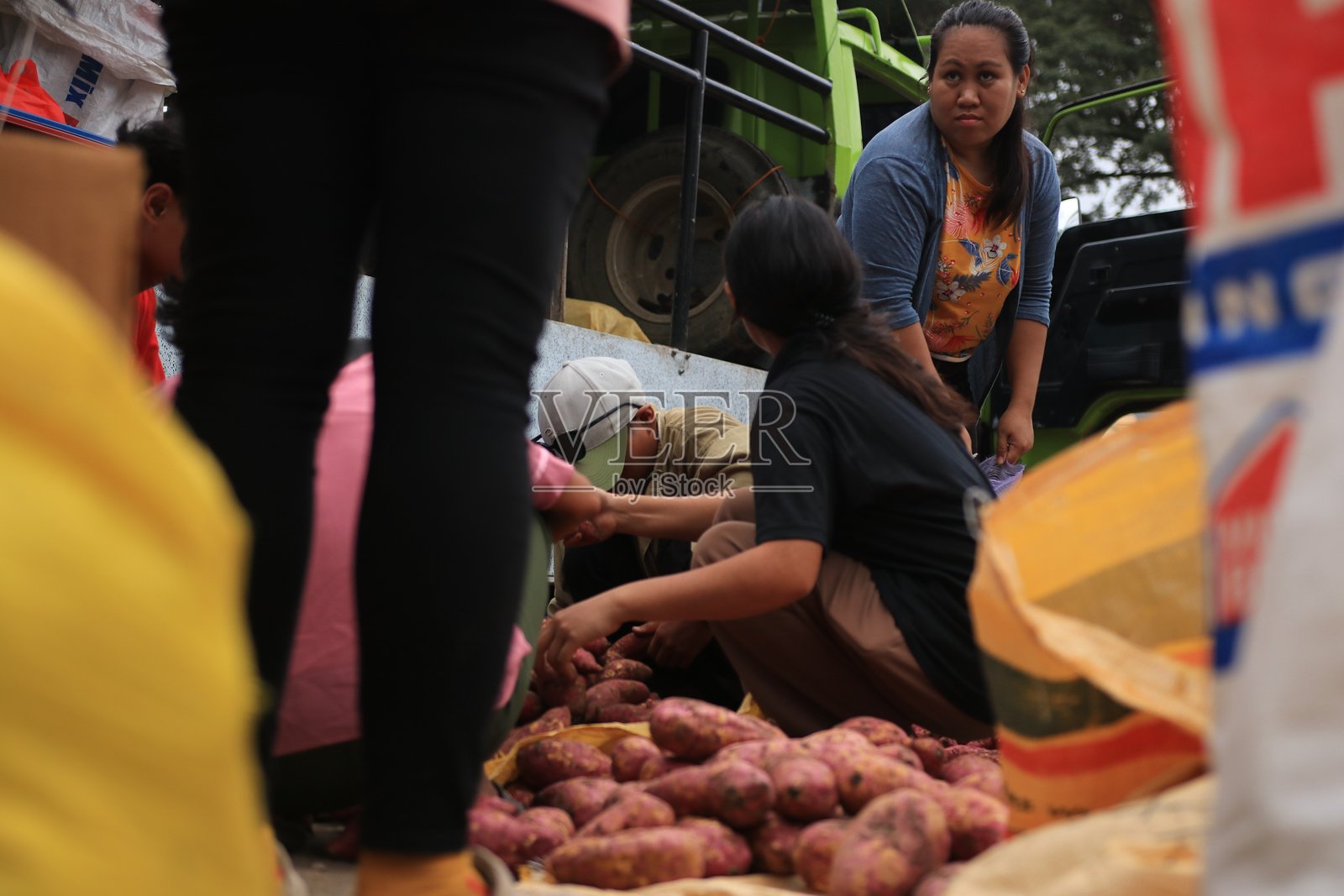 瓦伦西亚公园照片摄影图片