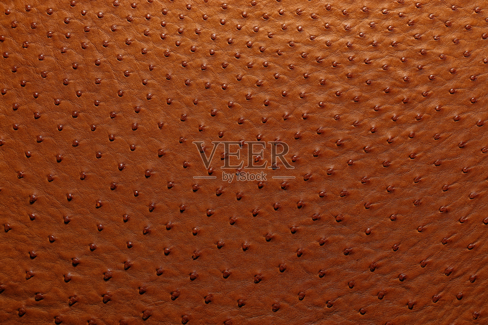 鸵鸟皮棕色皮革。照片摄影图片