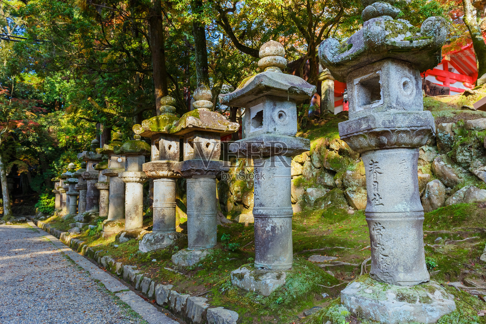 奈良春日大社的石灯笼照片摄影图片