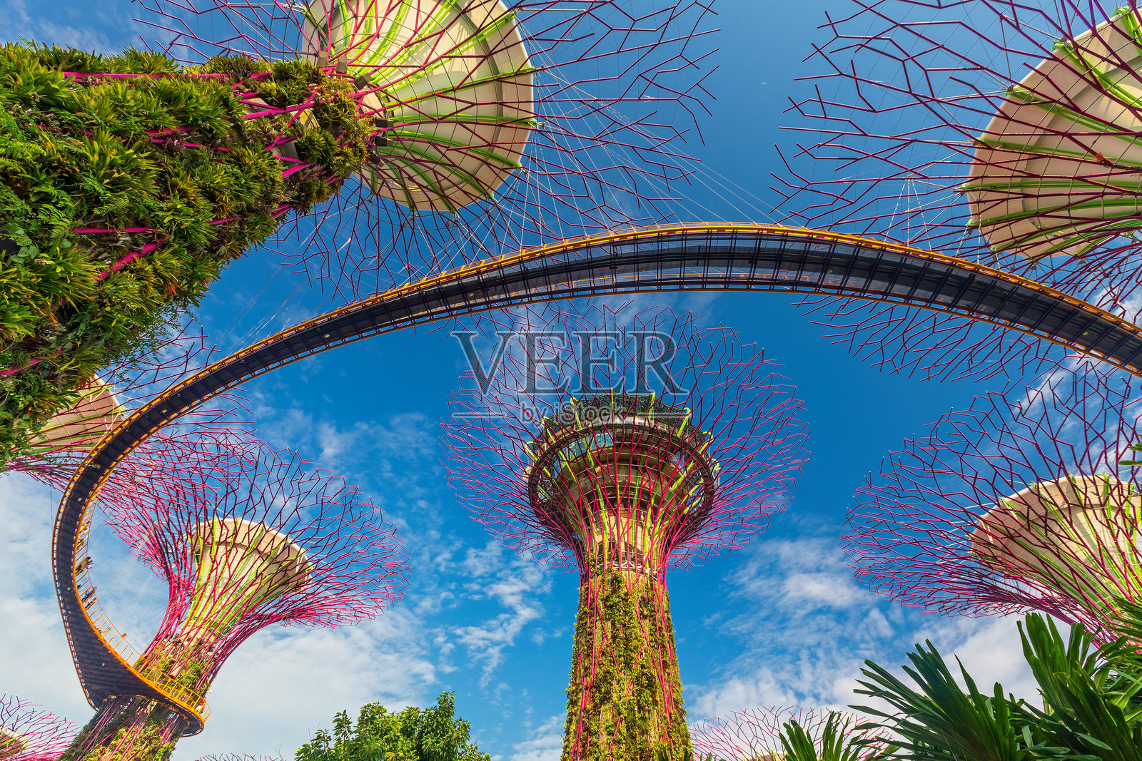 白天的滨海湾花园景观照片摄影图片