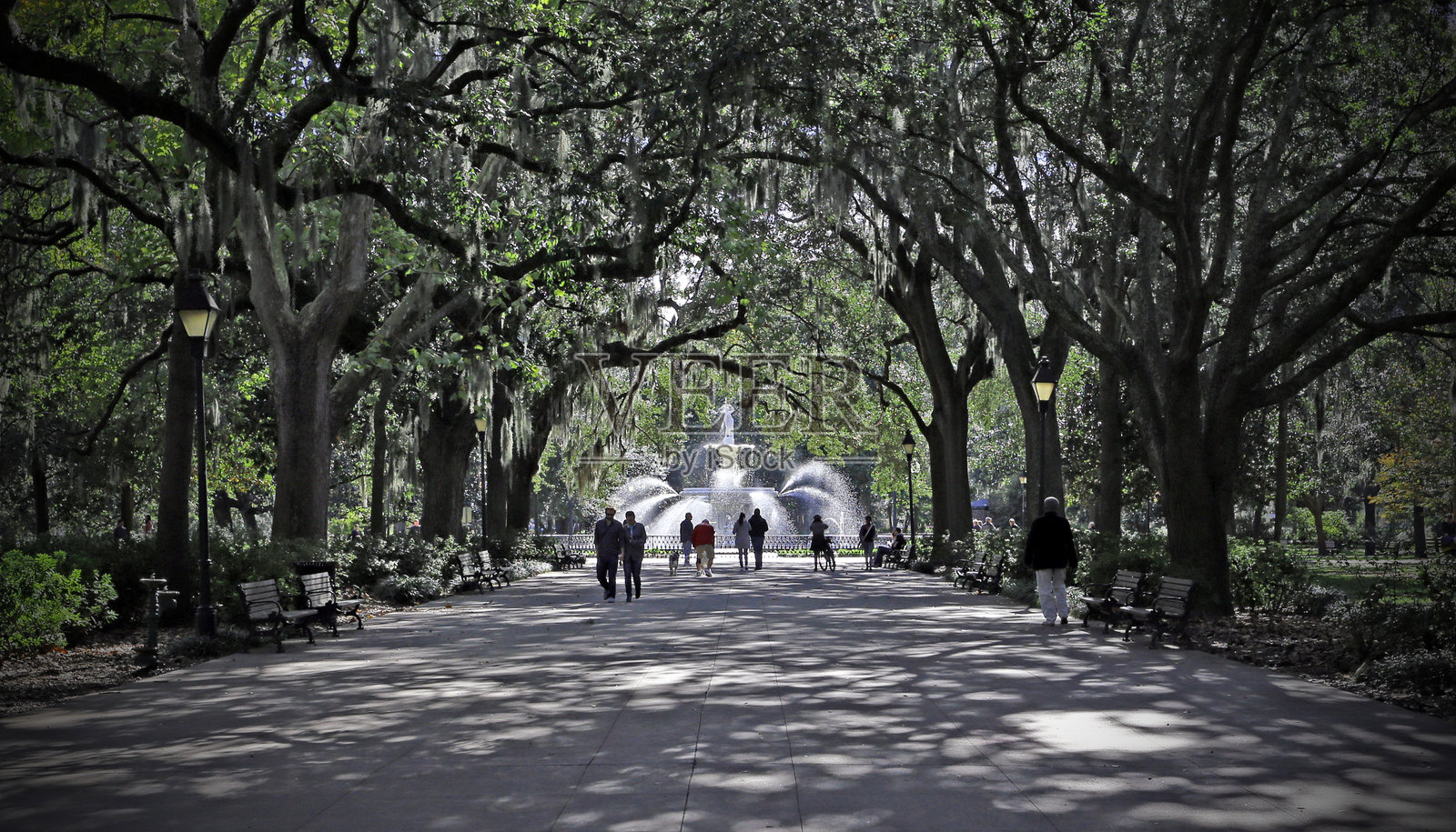 萨凡纳照片摄影图片