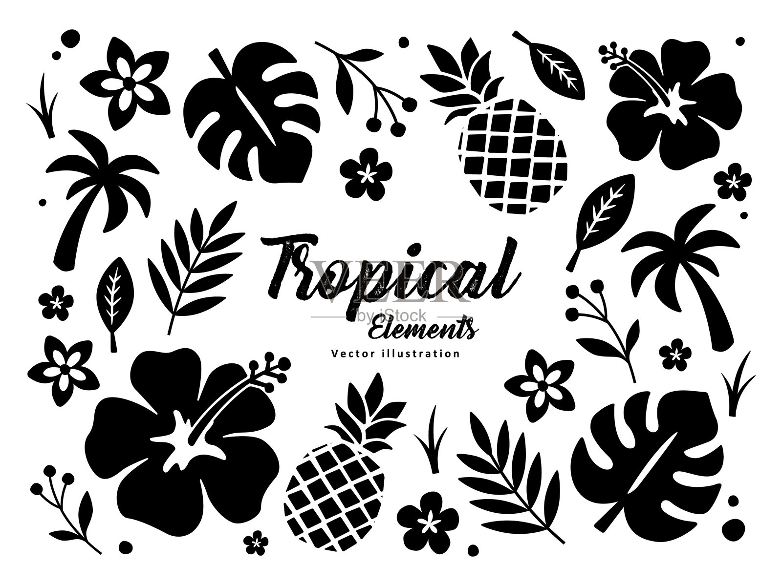 热带图案集 矢量插图插画图片素材