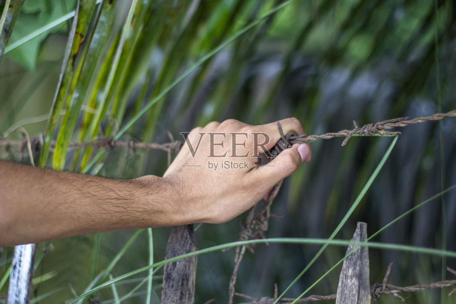 一个男人手持带刺铁丝，背景模糊不清。照片摄影图片