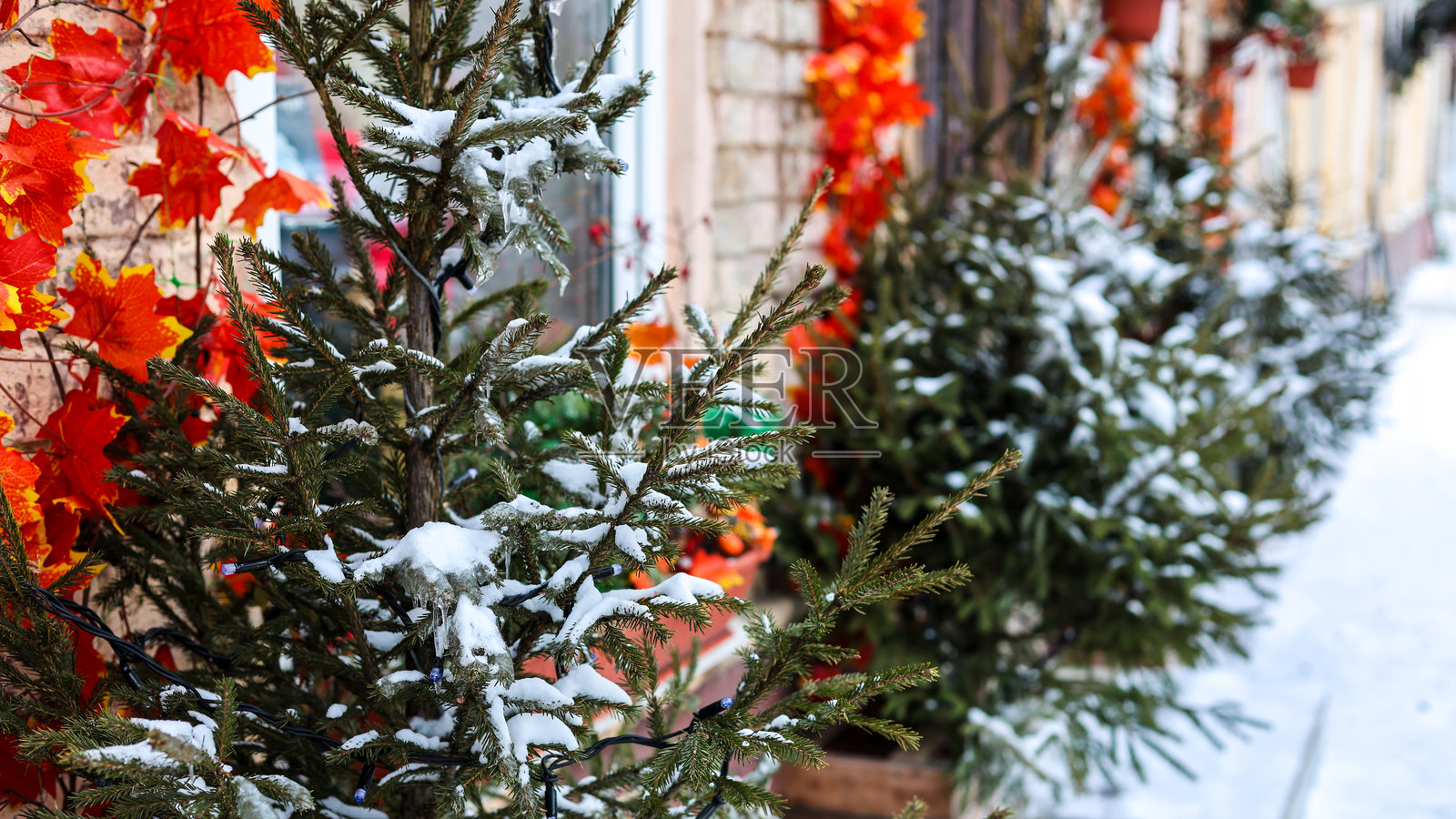 城市街道上的圣诞气氛，建筑外墙的设计照片摄影图片