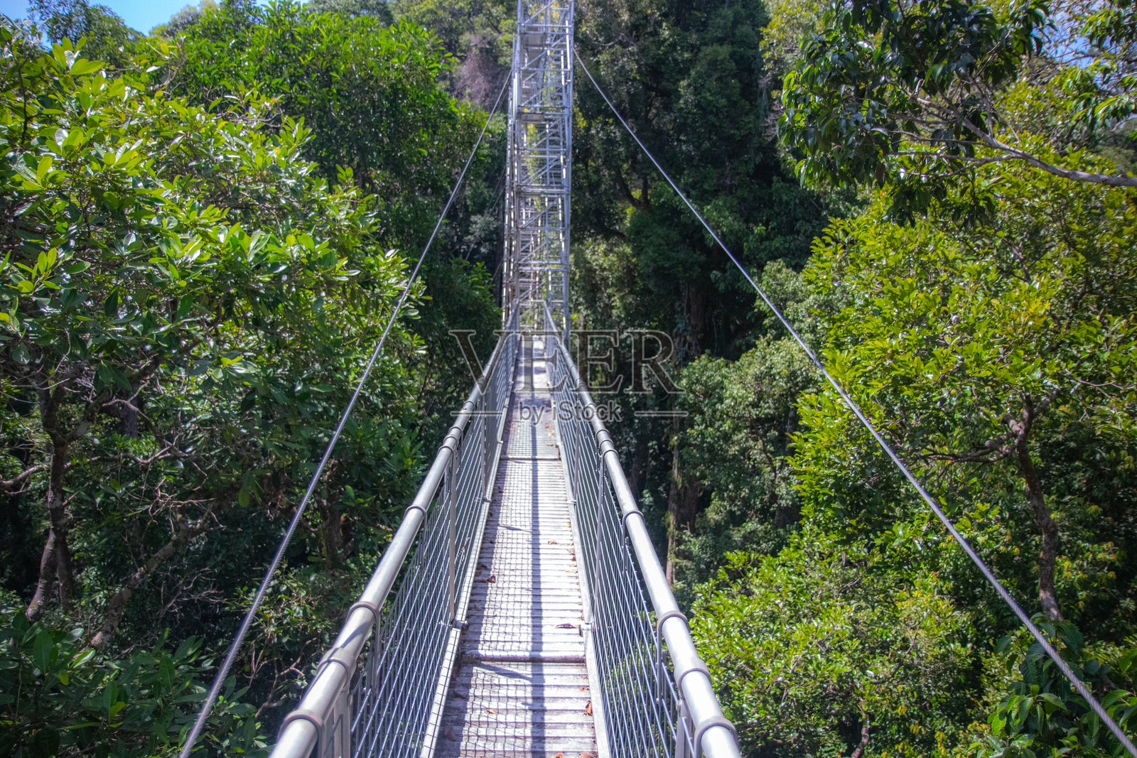 探索文莱的登布龙国家公园 - 热带丛林与河流冒险照片摄影图片