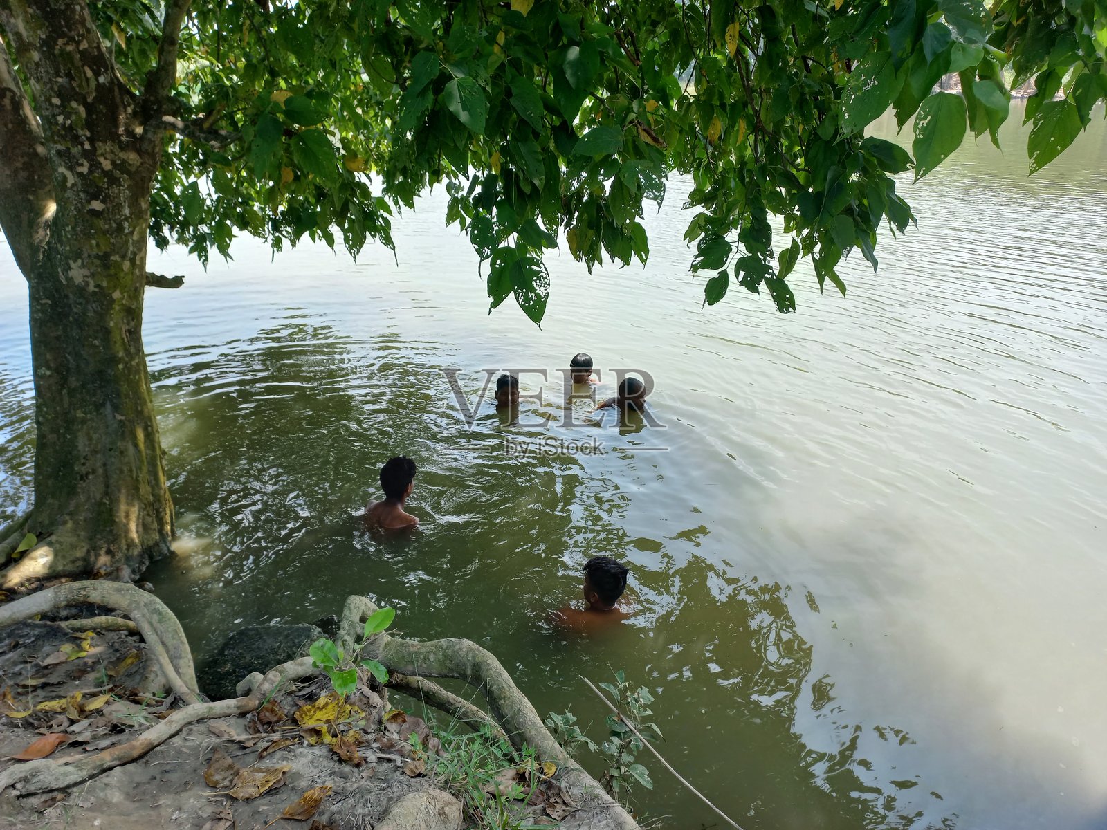 男孩们在河里享受自然浴。照片摄影图片